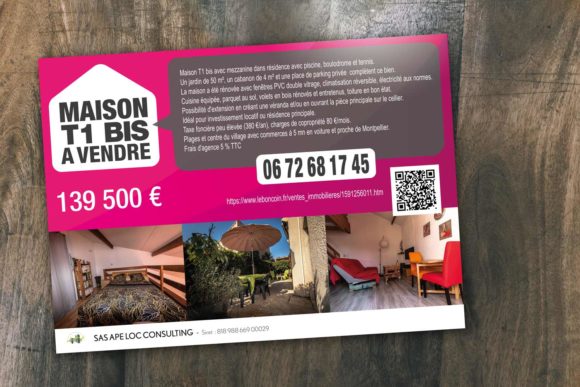 Flyer de vente immobilière - Flyer /  APE LOC CONSULTING