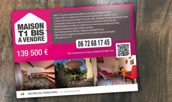 Flyer de vente immobilière - Flyer /  APE LOC CONSULTING